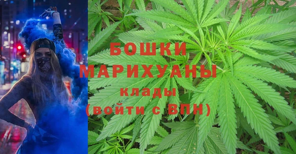 гидропоника Вязьма