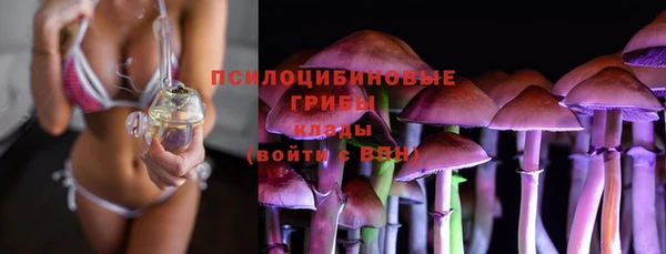 гидропоника Вязьма